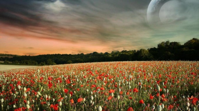 地球上明明有吃塑料的虫子，为什么没有普及？